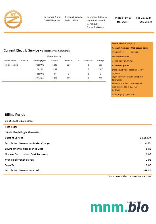 Tadżykistan Barqi Tojik Company szablon rachunku za energię elektryczną w formatach Word i PDF